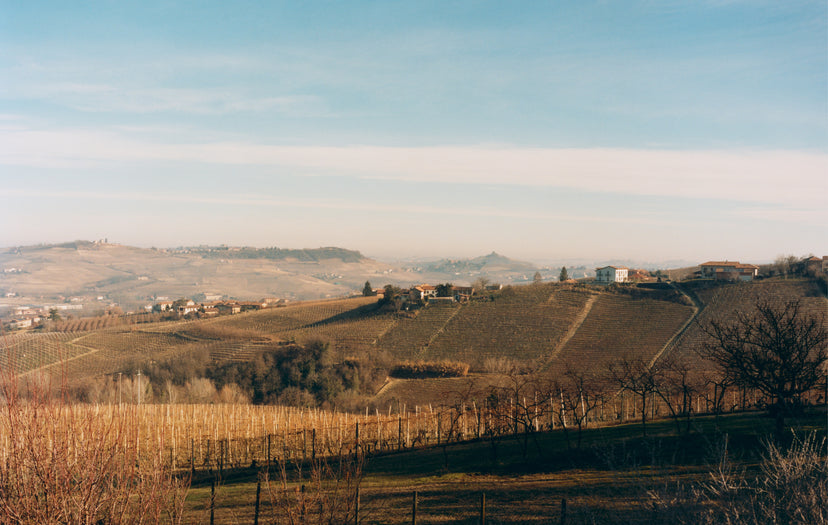 A Postcard from Piedmont