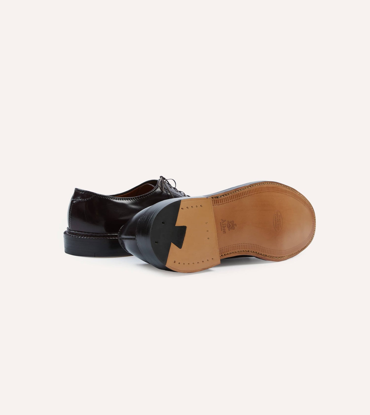 Alden Black Cordovan Plain Toe Blucher