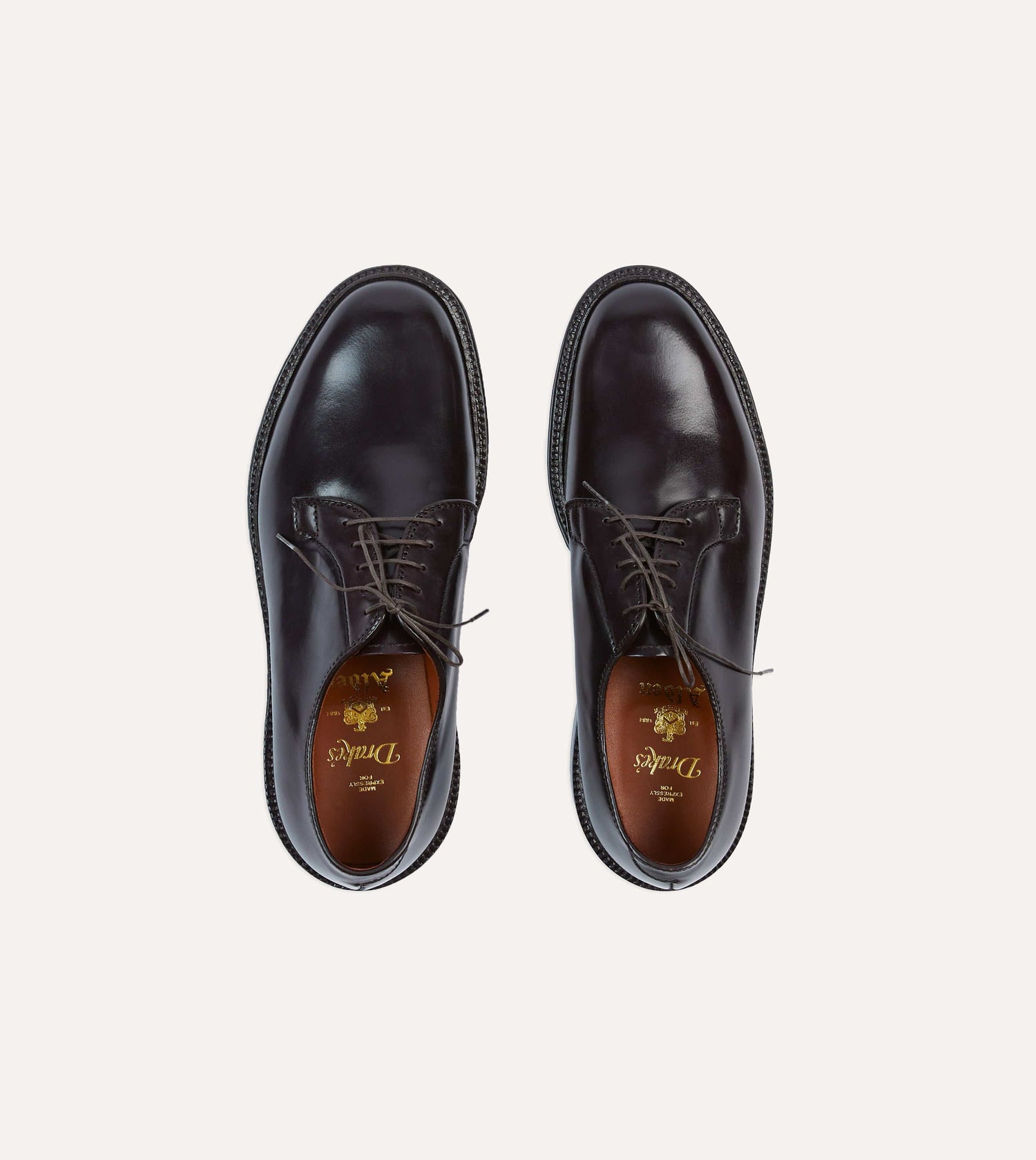 Alden Black Cordovan Plain Toe Blucher