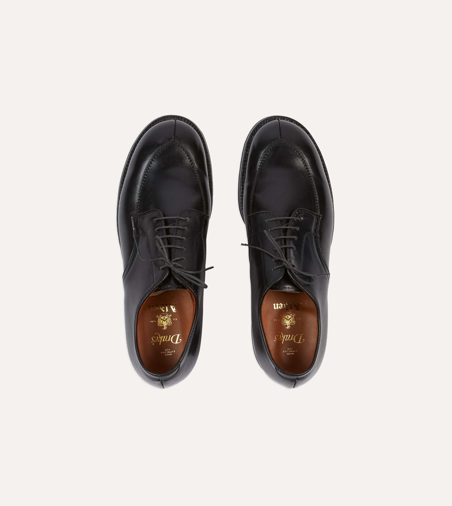 Alden Black Cordovan Algonquin Blucher